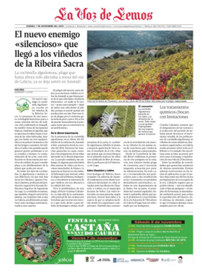 Cover of Monforte local