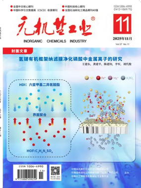 Cover of Inorganic Chemicals Industry