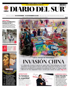 Cover of Diario del Sur