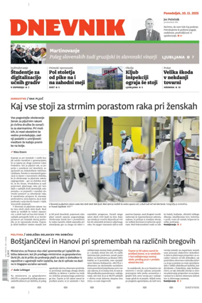 Cover of Dnevnik (Slovenija)
