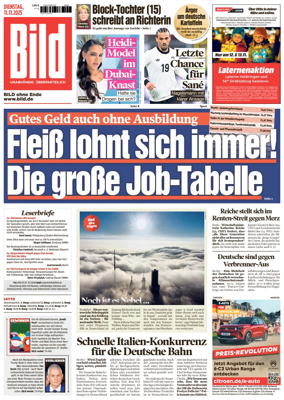 Cover of Bild