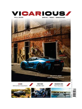Cover of Vicarious