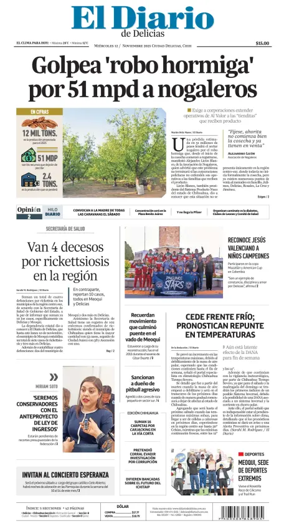Cover of El Diario de Delicias