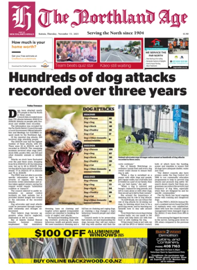 Cover of The Northland Age