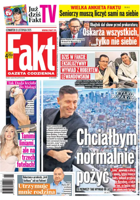 Cover of Fakt