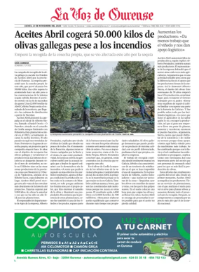 Cover of Ourense local