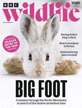 Cover of BBC Wildlife Magazine