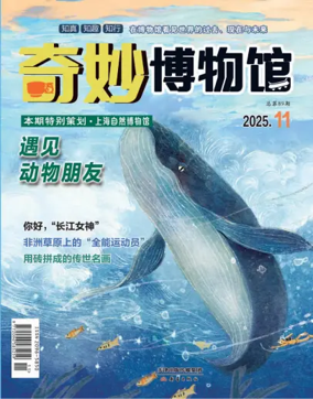 Cover of Qimiao Museum