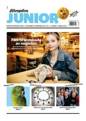 Cover of Aftenposten Junior