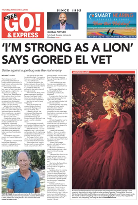 Cover of Go! & Express