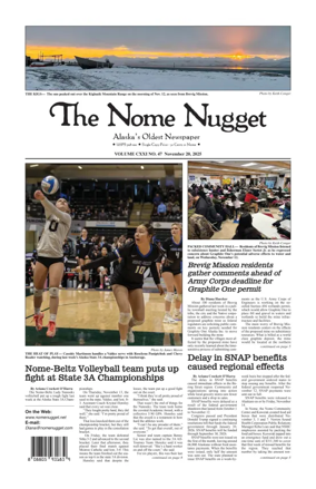 Cover of The Nome Nugget