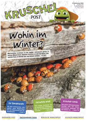 Cover of Kruschelpost