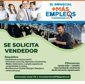 Cover of Mas Empleos
