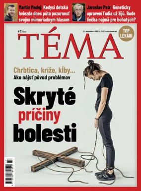 Cover of Téma
