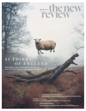 Cover of The New Review
