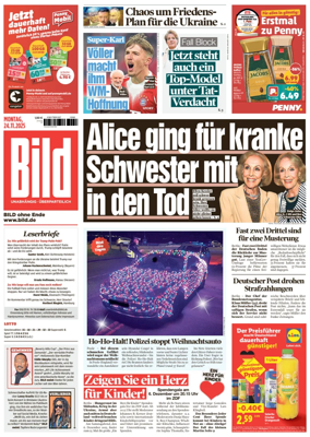 Cover of Bild