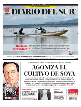 Cover of Diario del Sur