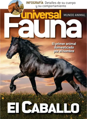 Cover of Fauna universal