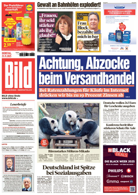 Cover of Bild