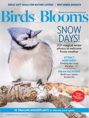 Cover of Birds and Blooms
