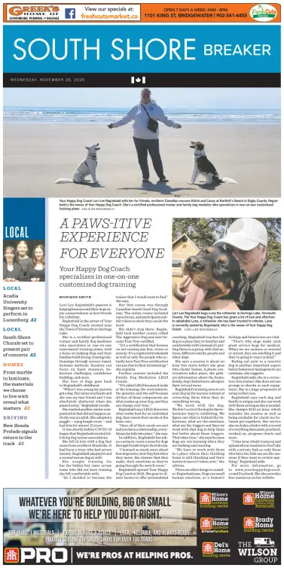 Cover of South Shore Breaker