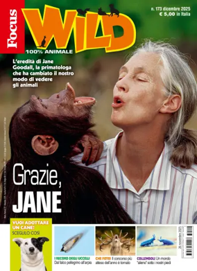 Cover of Focus Wild