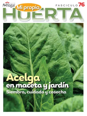 Cover of Huerta en casa
