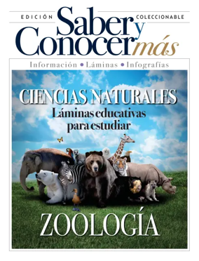 Cover of Saber y Conocer mas