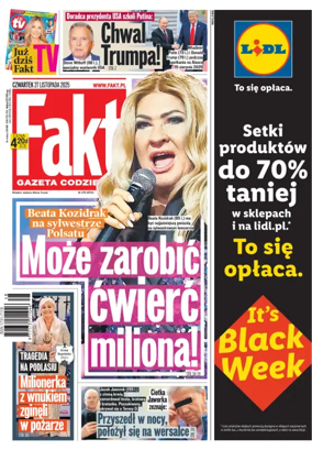 Cover of Fakt
