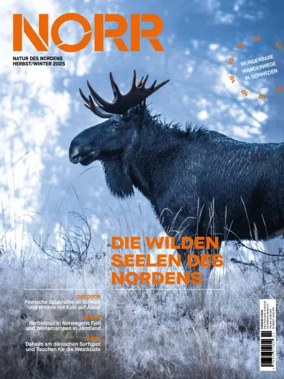 Cover of NORR Magazine