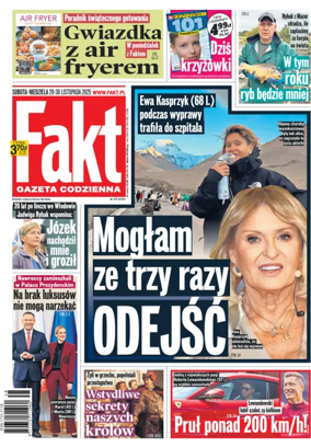 Cover of Fakt