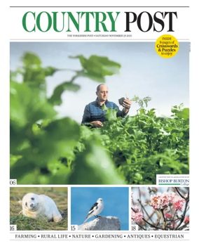 Cover of Country Week