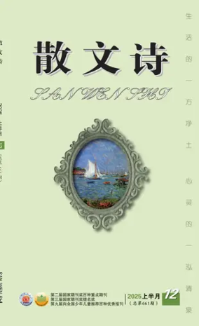 Cover of San Wen Shi