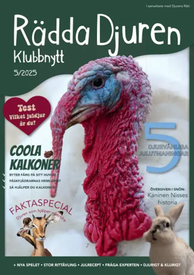 Cover of Radda Djuren