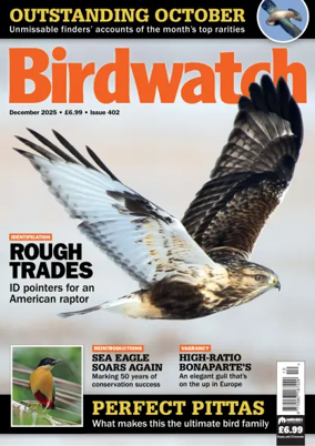 Cover of Birdwatch