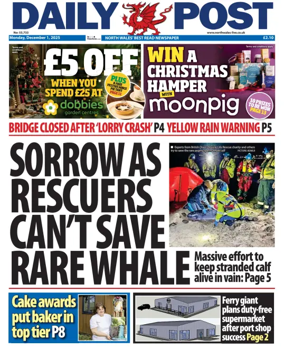 Cover of Daily Post (North Wales)