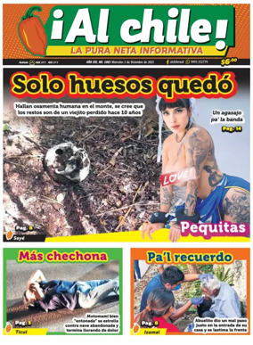 Cover of Al Chile