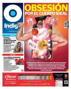 Cover of Reporte Indigo Nacional