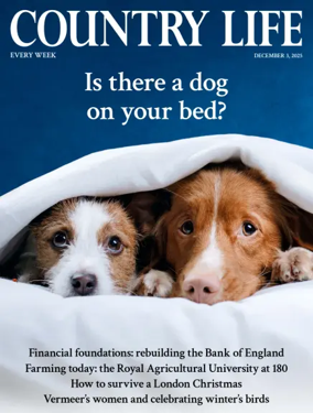 Cover of Country Life