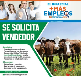 Cover of Mas Empleos