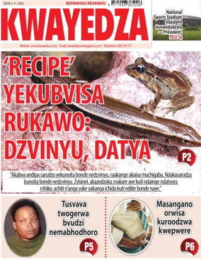 Cover of Kwayedza