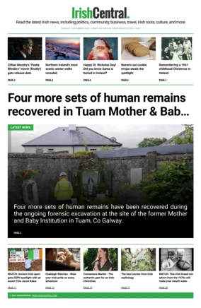 Cover of Irish Central