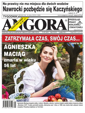 Cover of Angora