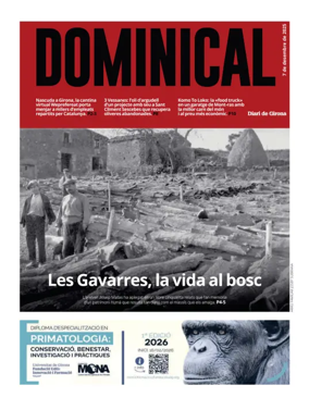 Cover of Dominical
