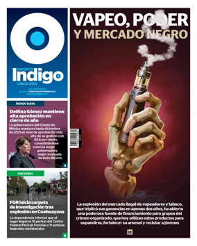 Cover of Reporte Indigo Nacional