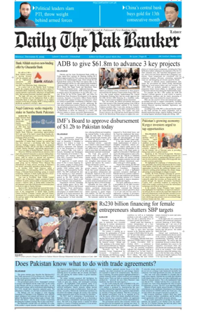 Cover of The Pak Banker