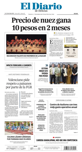 Cover of El Diario de Delicias