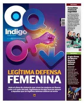 Cover of Reporte Indigo Monterrey