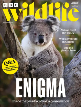 Cover of BBC Wildlife Magazine