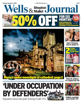 Cover of Wells Journal